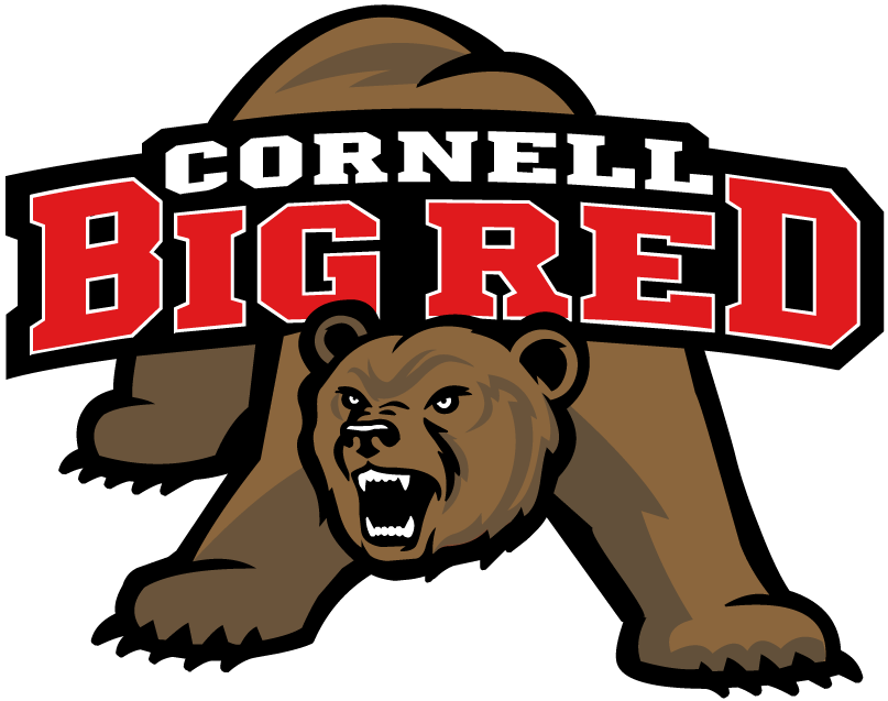Cornell Big Red 1998-2001 Primary Logo iron on transfers for clothing